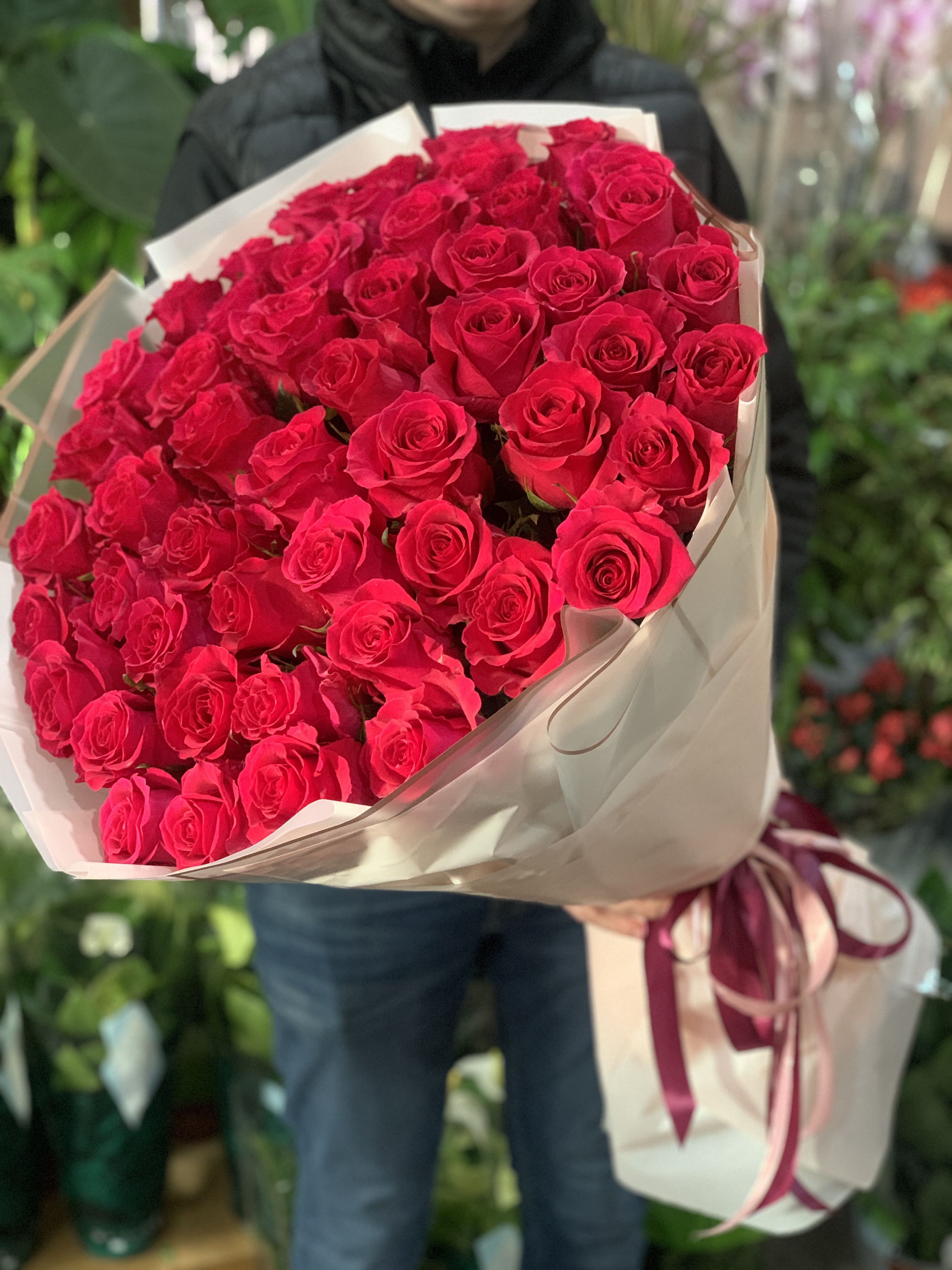 51 малинова голландська троянда Гоча