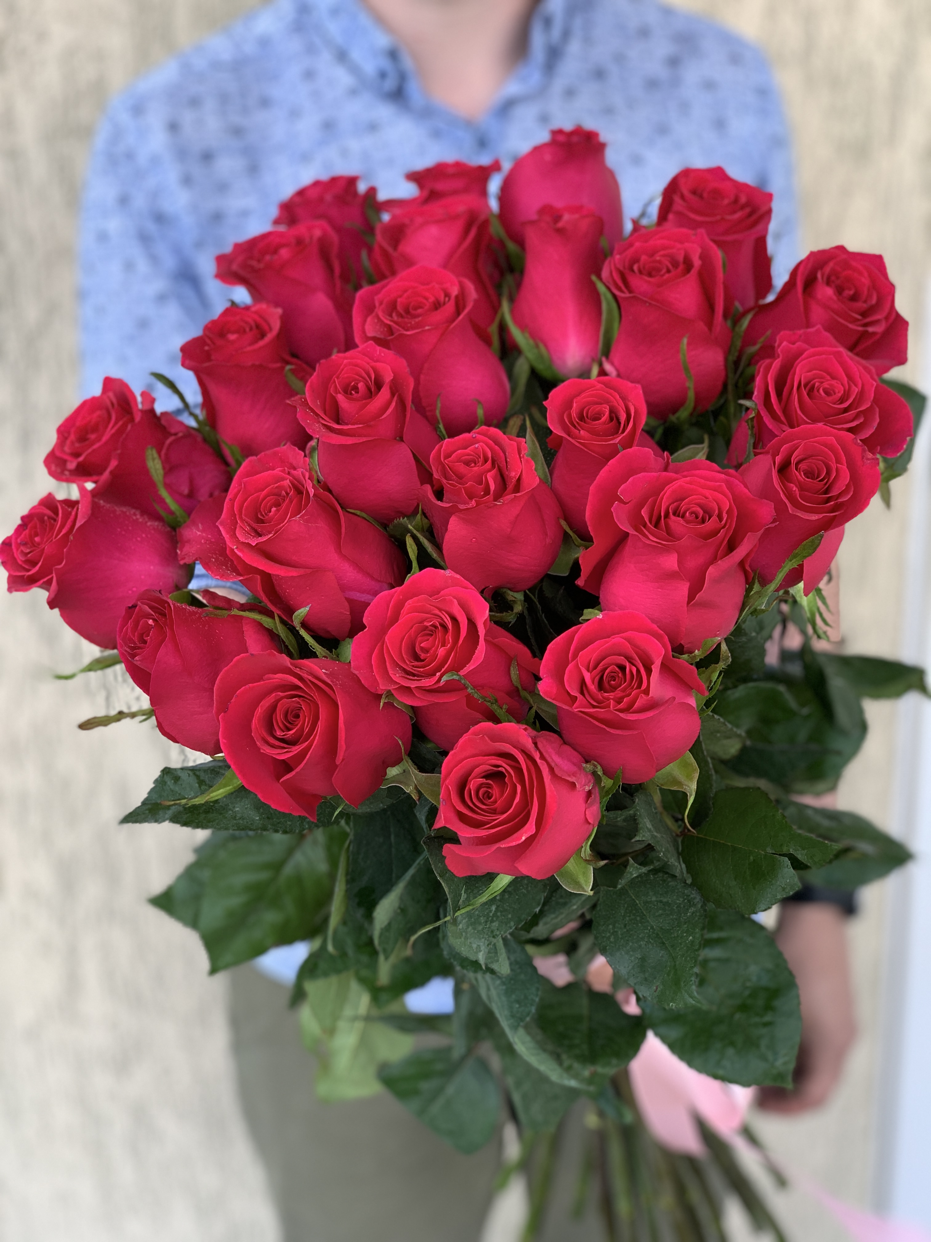 Троянда голландська Готча 