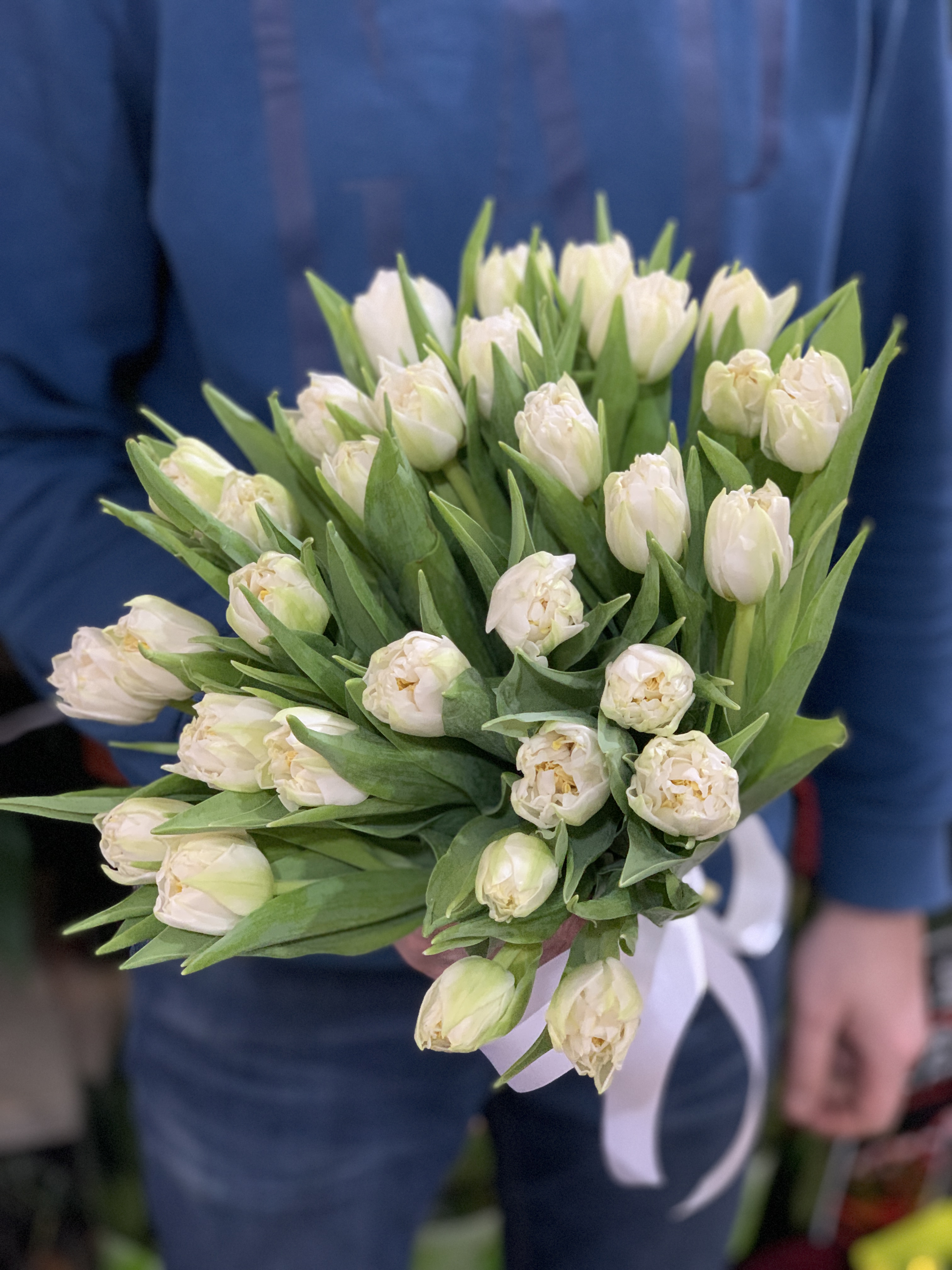 51 тюльпан білий піоновидний