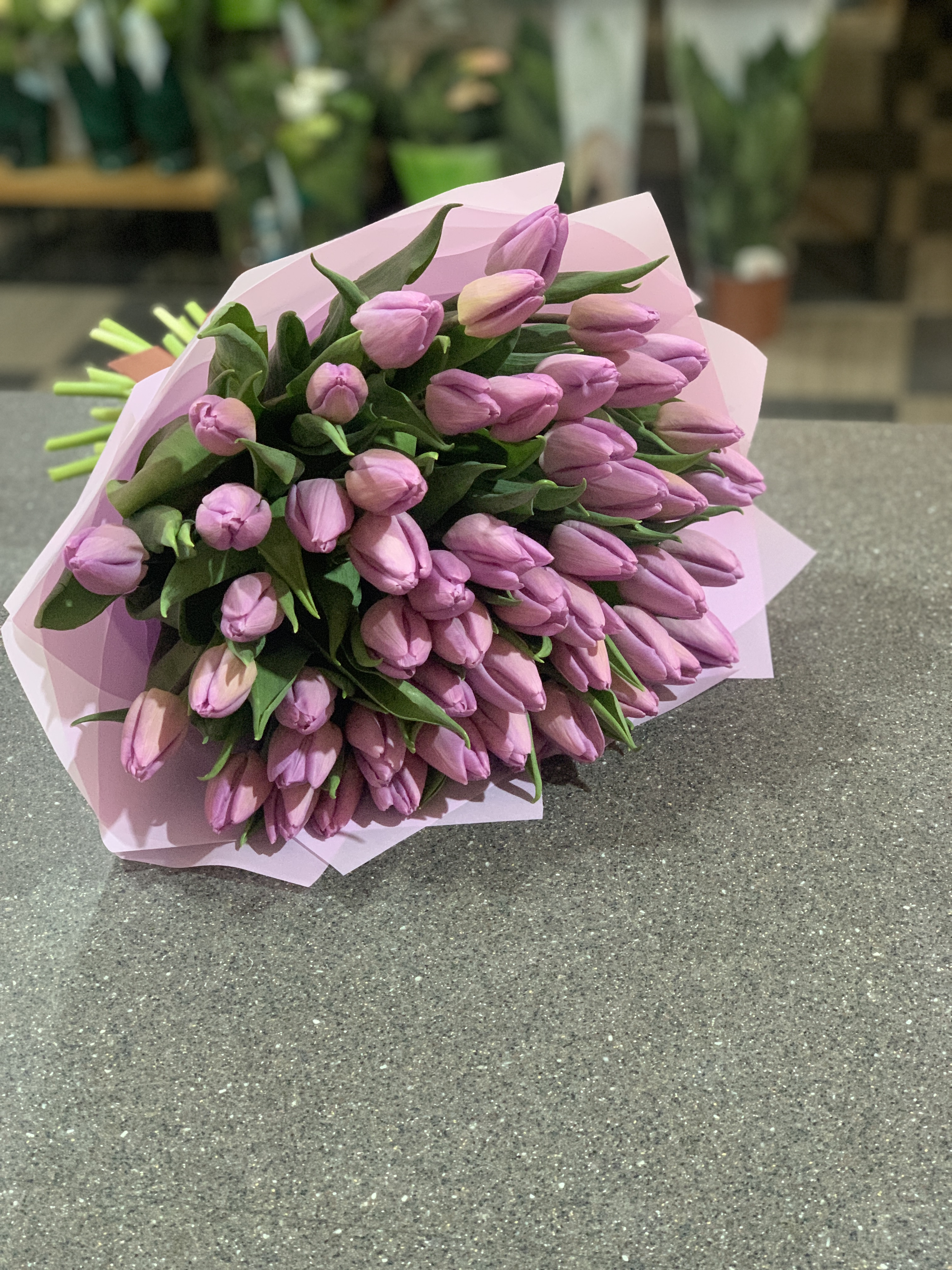 51 ліловий тюльпан 