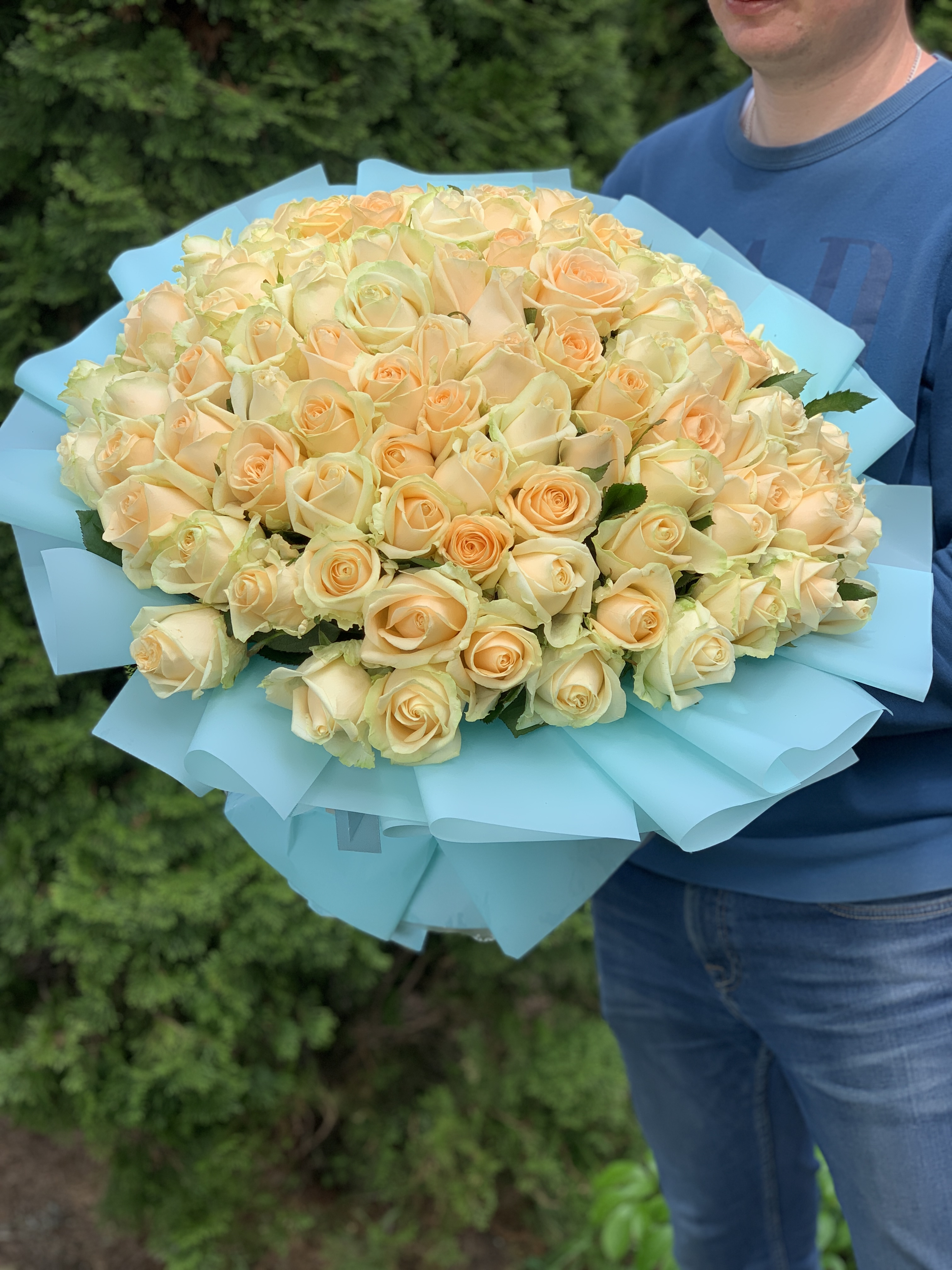 101 кремова троянда Піч Аваланч