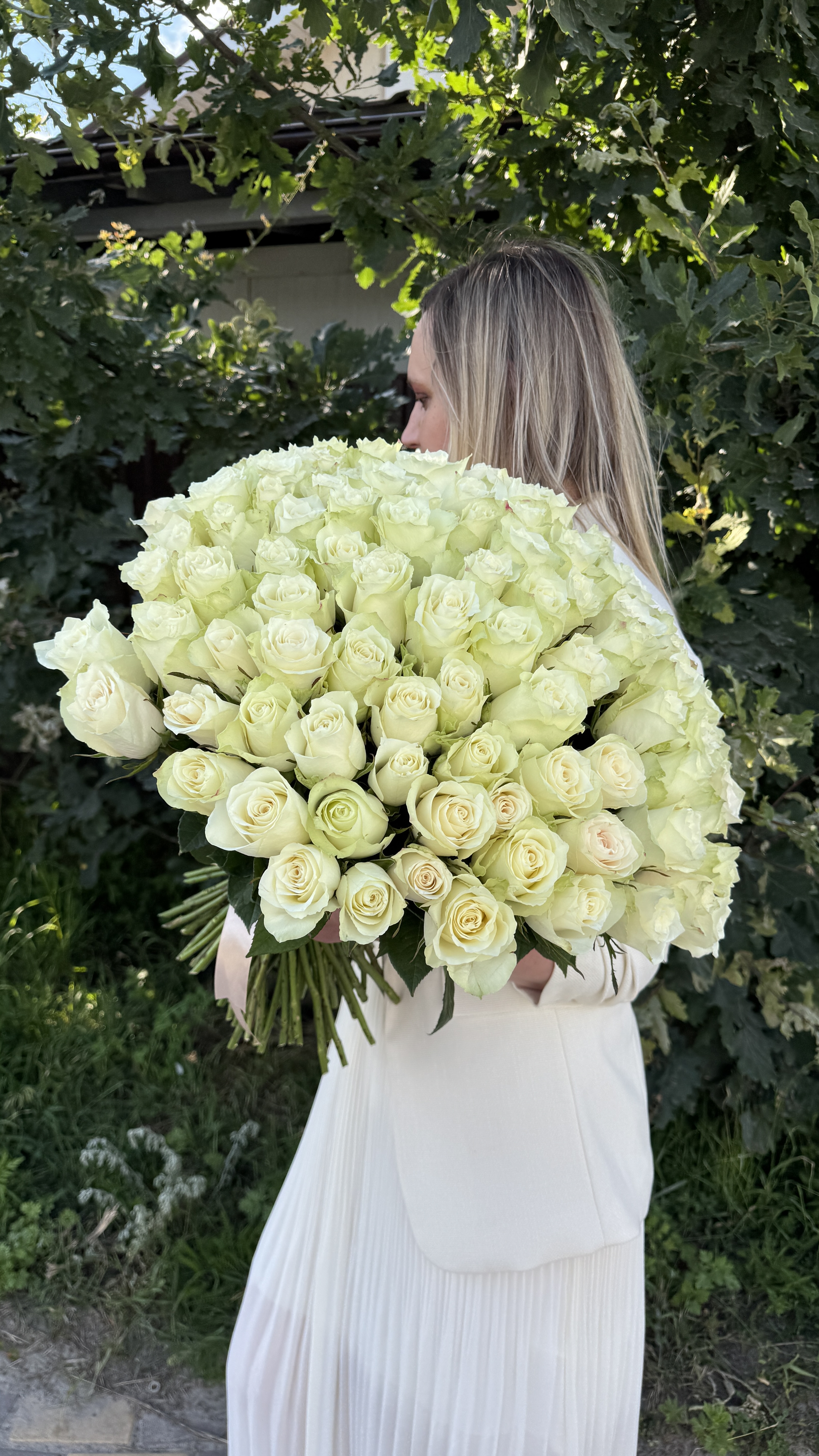 101 біла троянда Атена