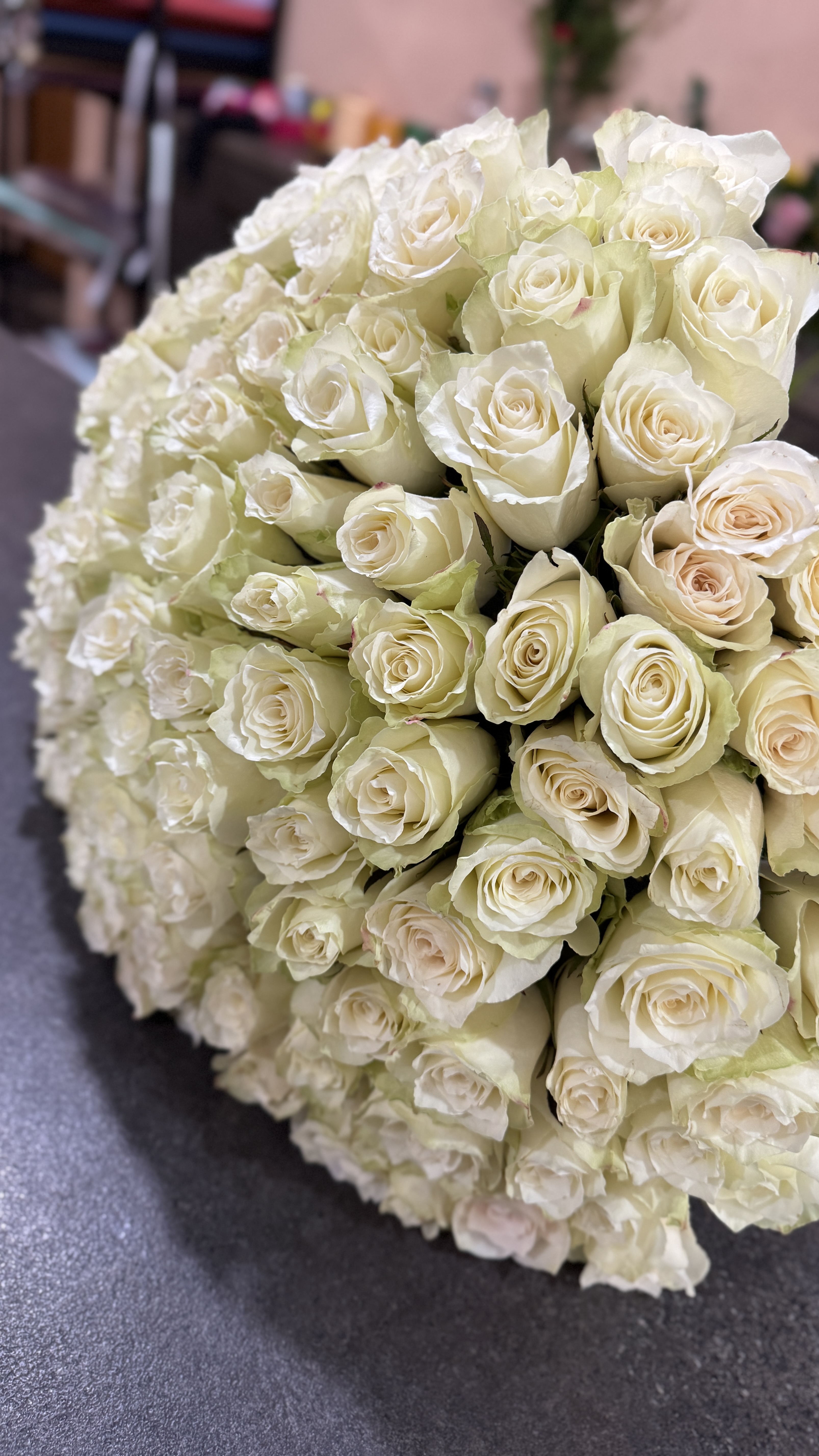 Троянда біла Атена