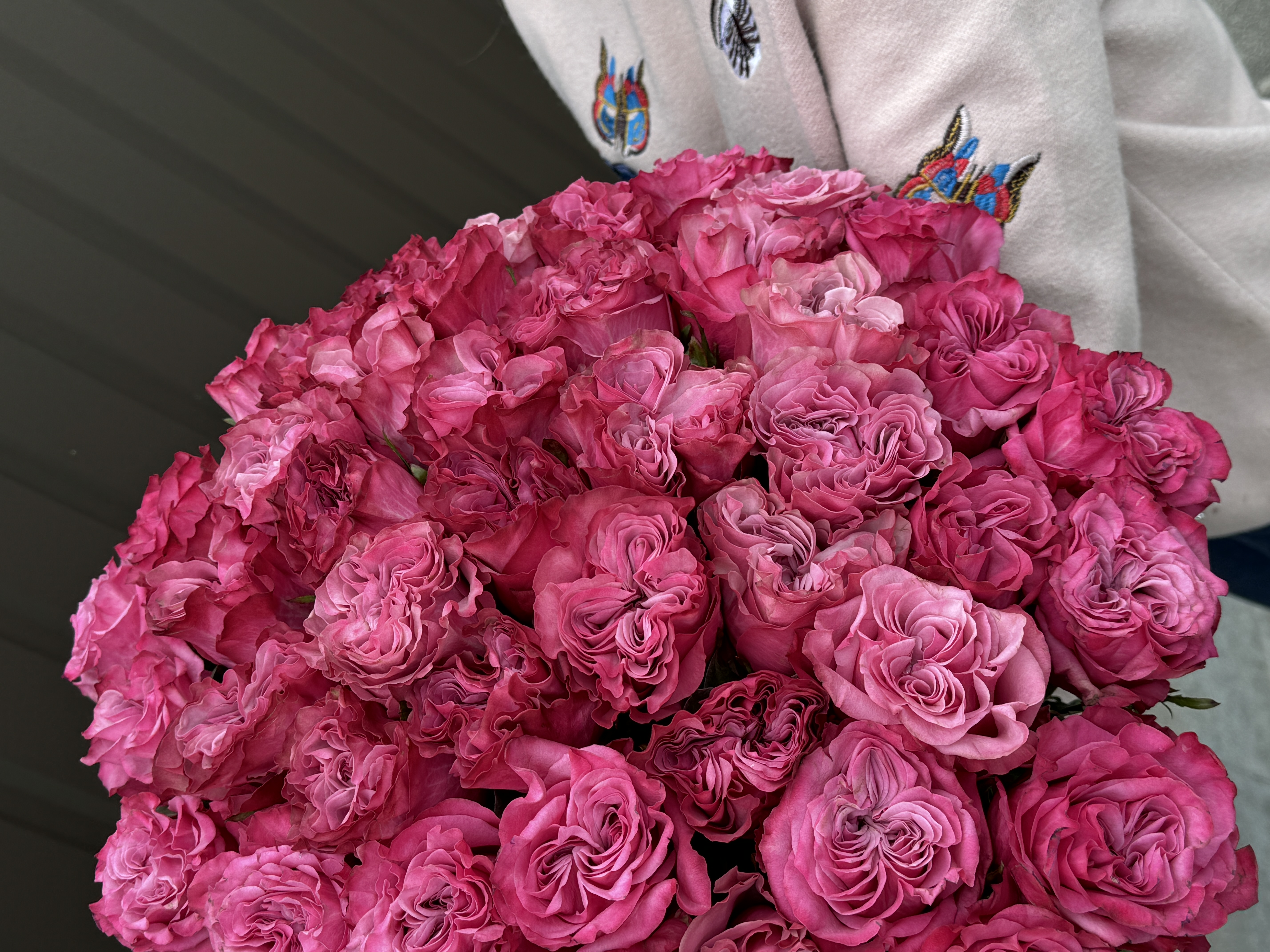 Піоновидна троянда Кантрі блюз