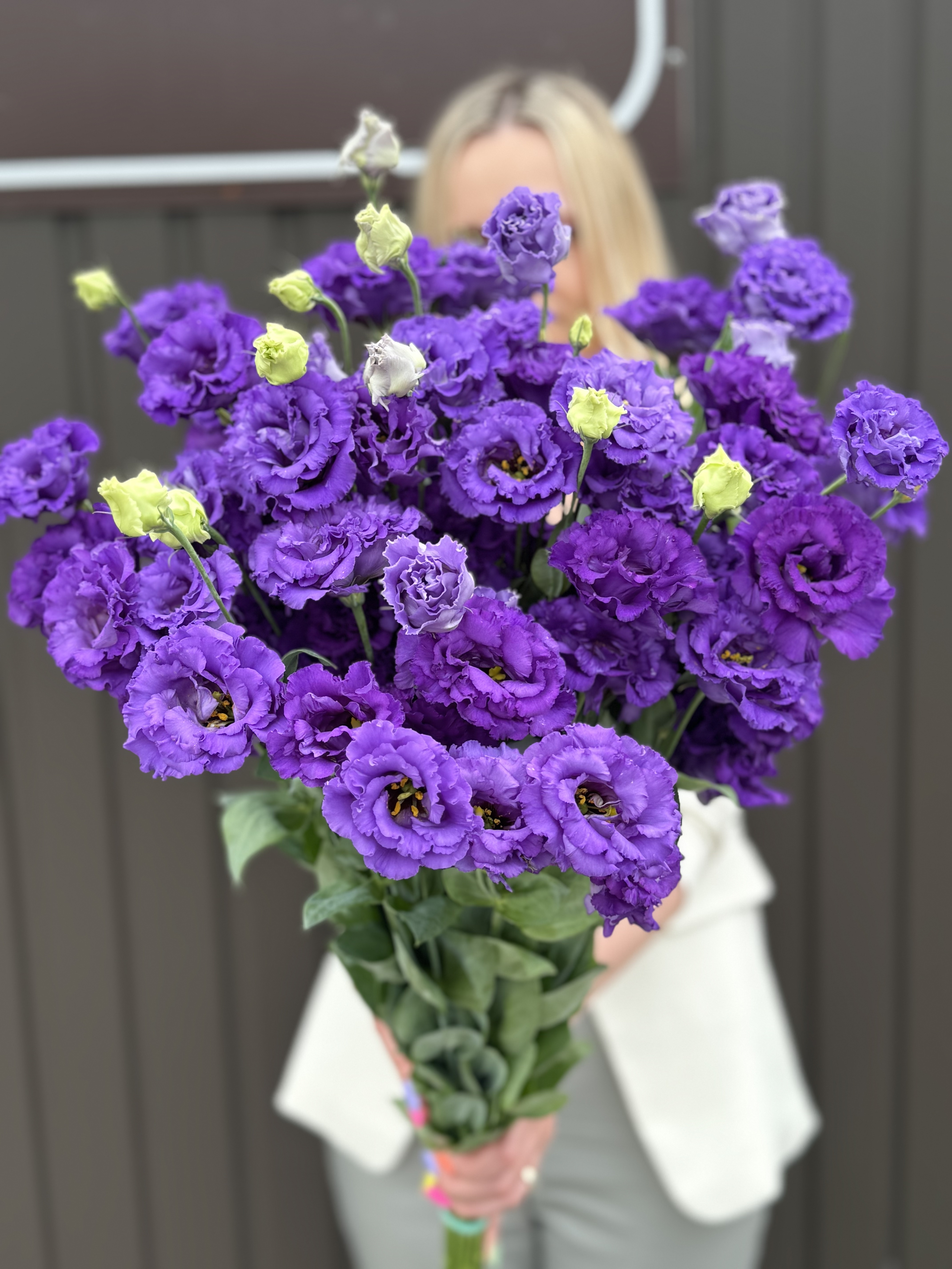 Еустома синя