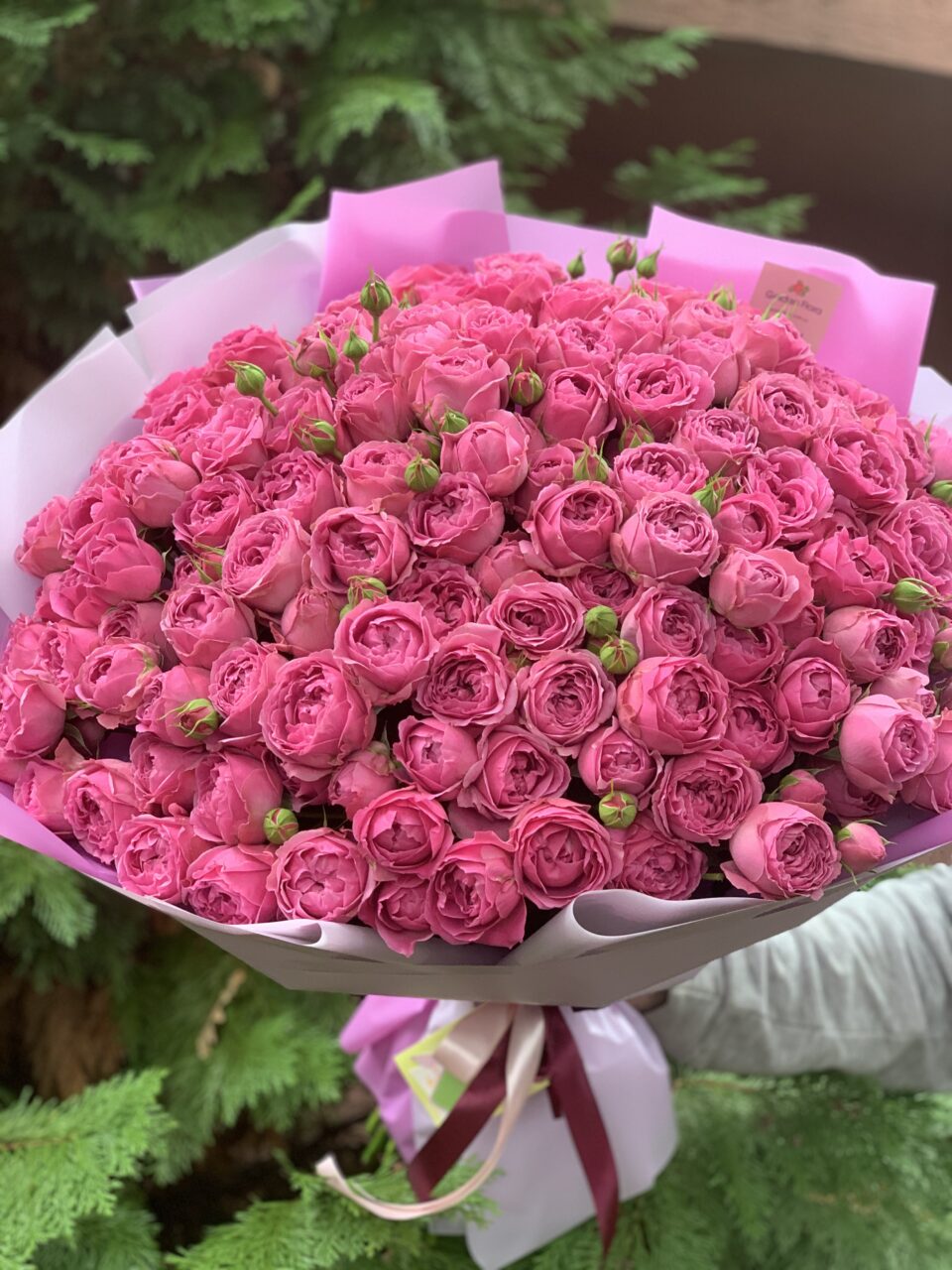 101 рожева піоновидна троянда Спрей