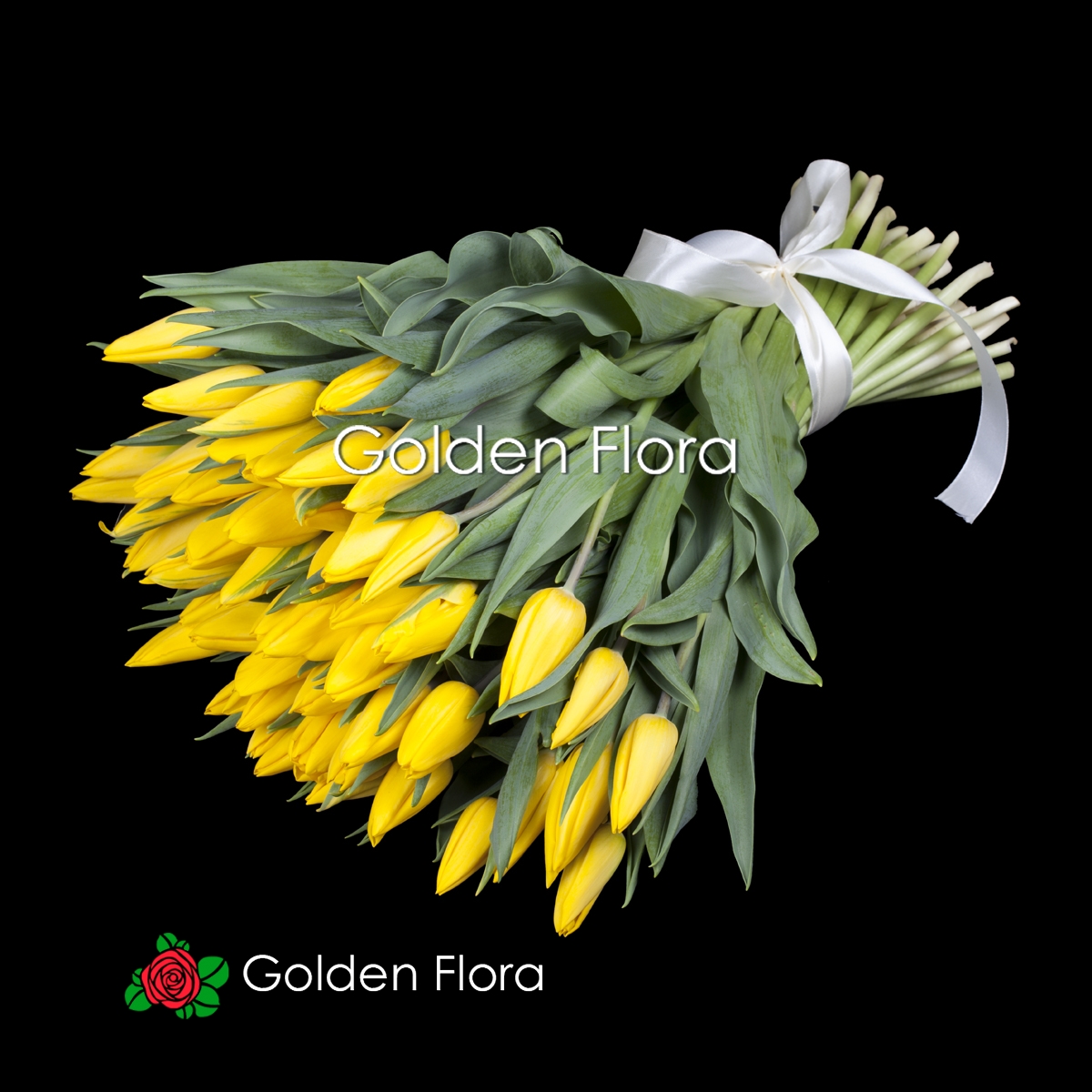 51 жовтий тюльпан