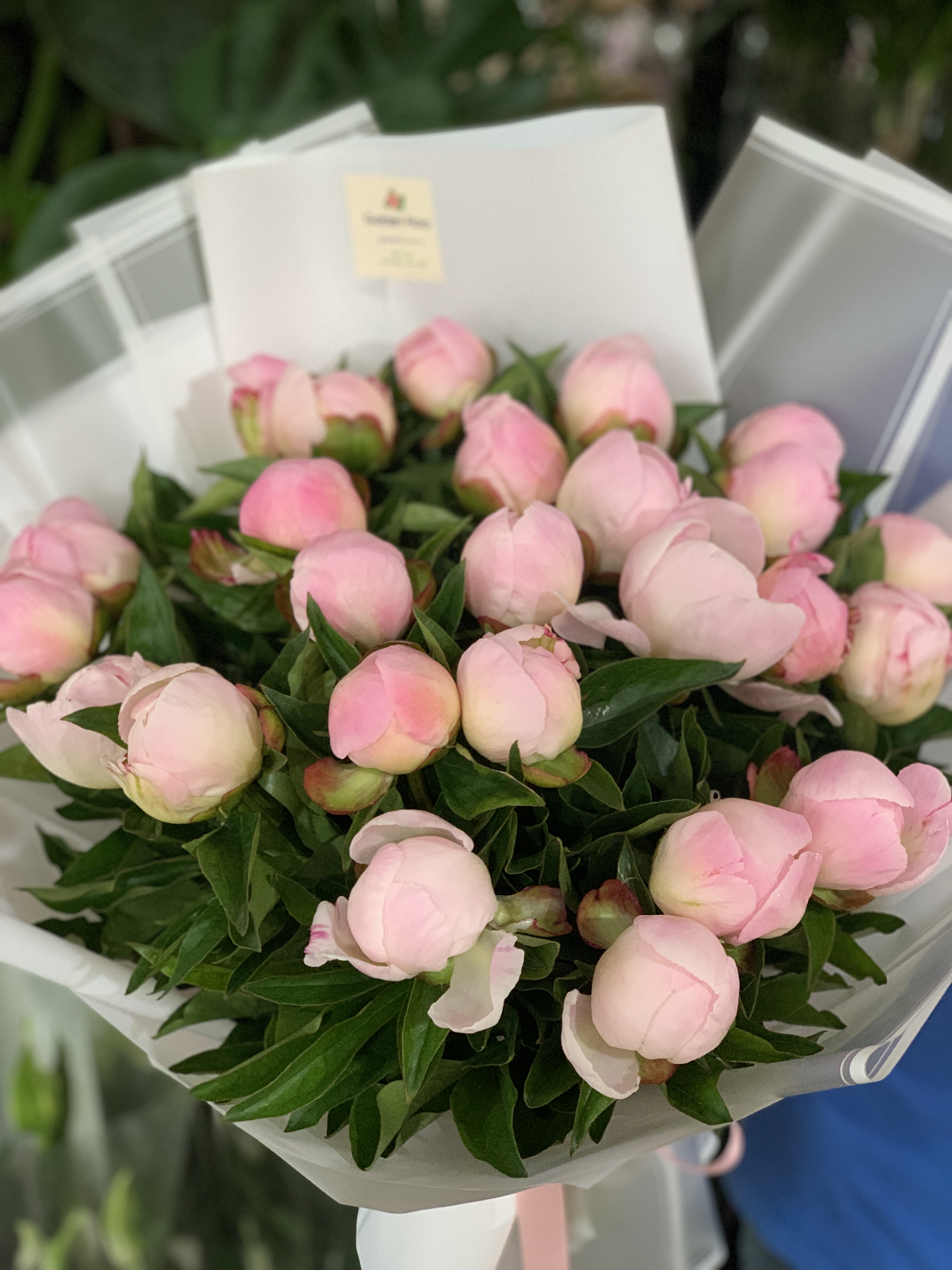 Букет із світло-рожевих півоній