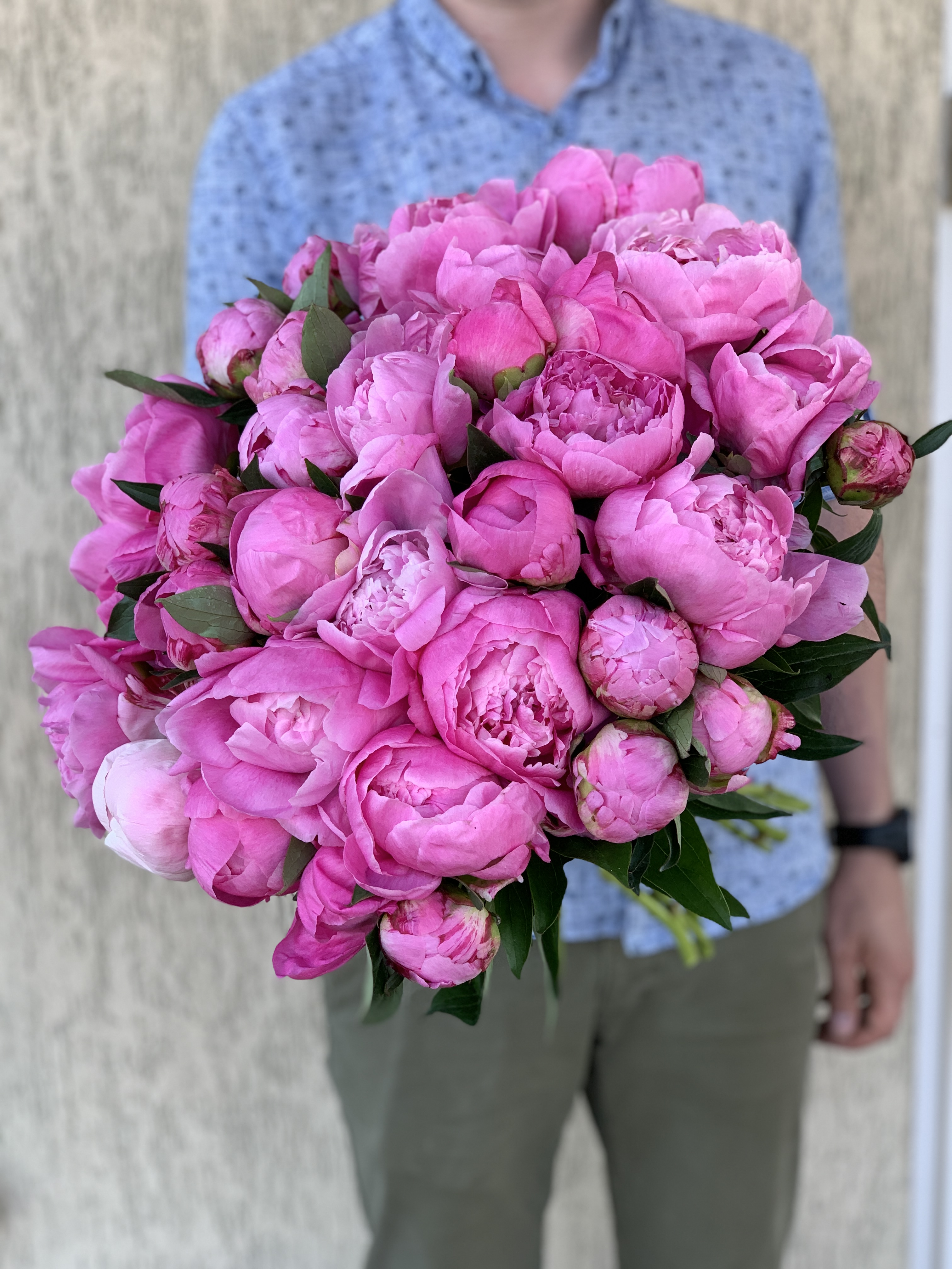 Букет рожевих півоній