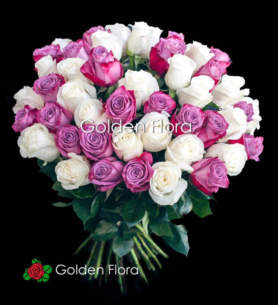 51 Голандська біла та бузкова троянда