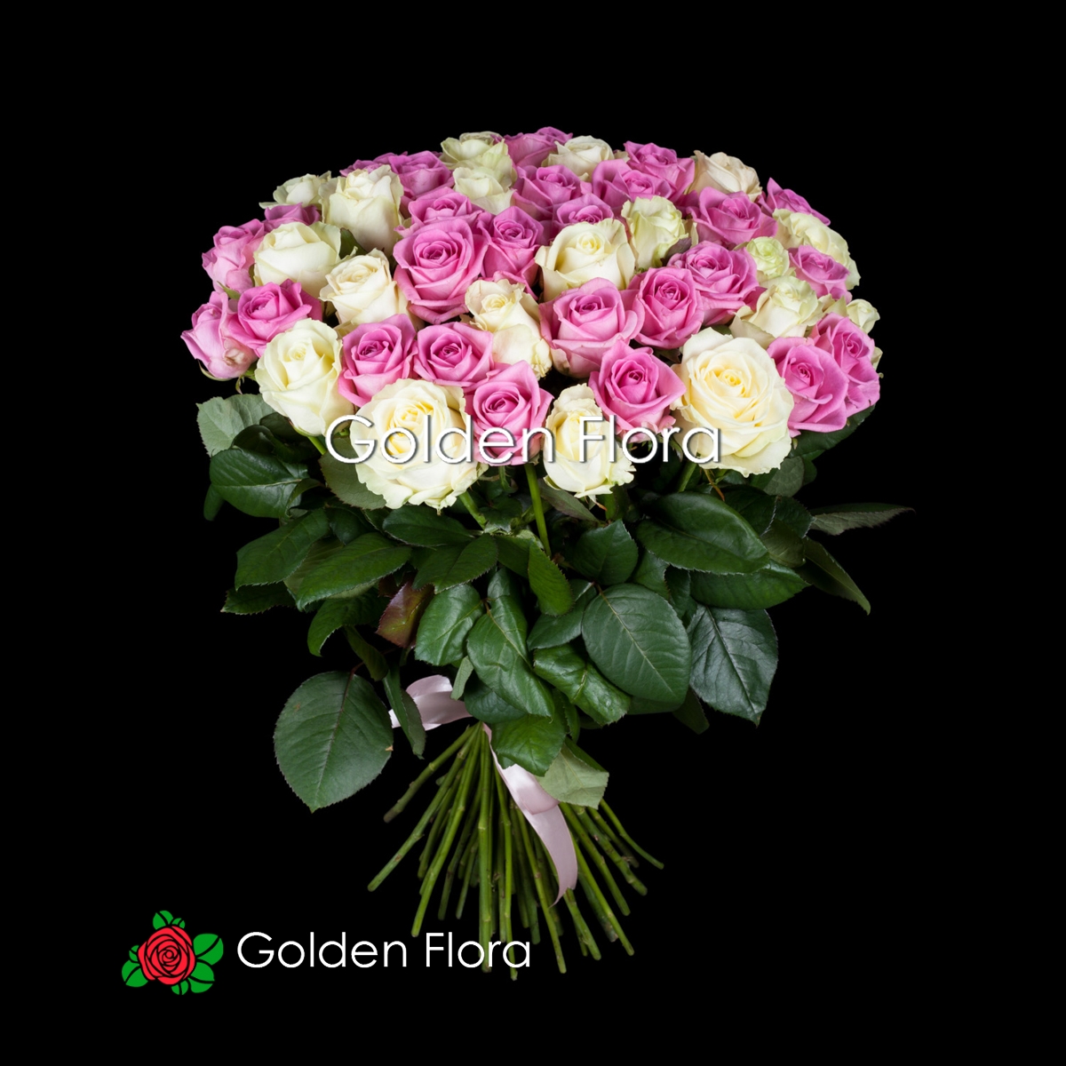 51 рожева та біла троянда