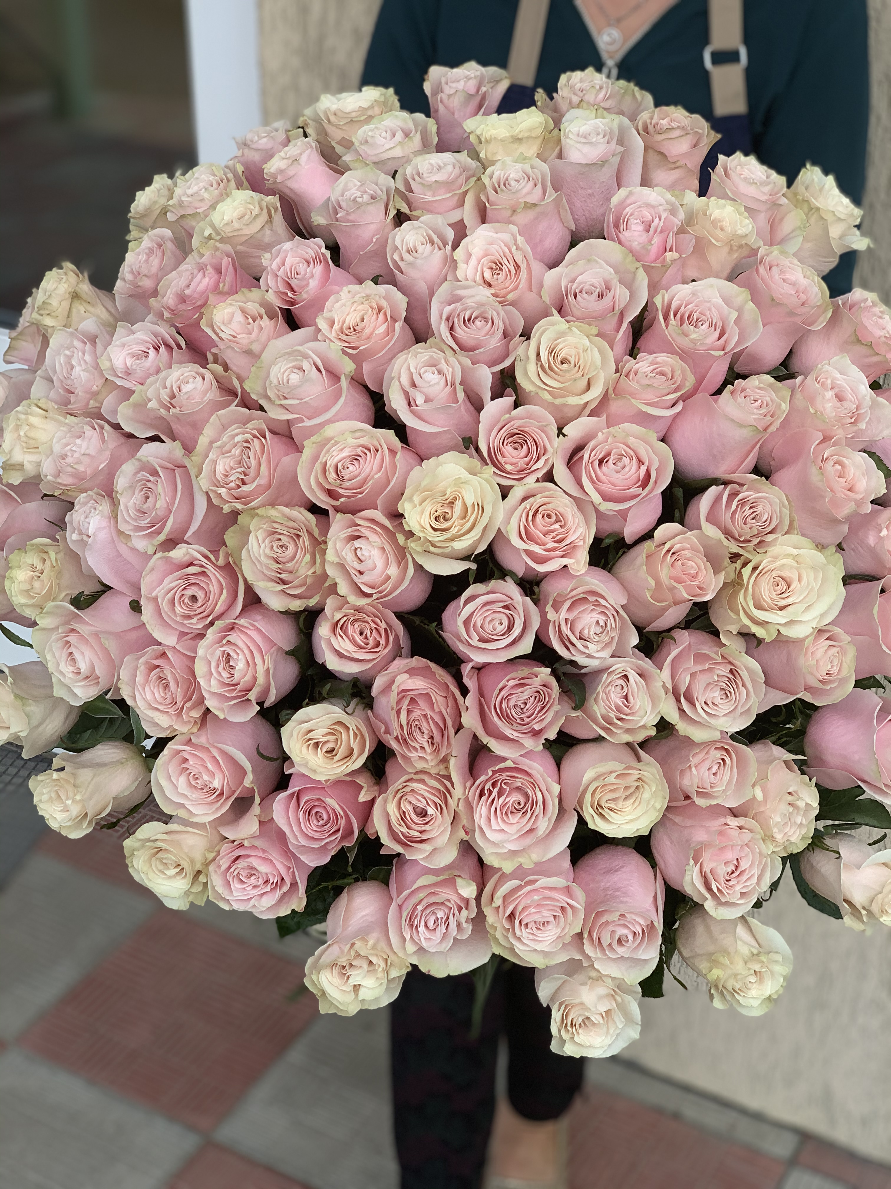 Троянда голандська Пінк Мондіаль