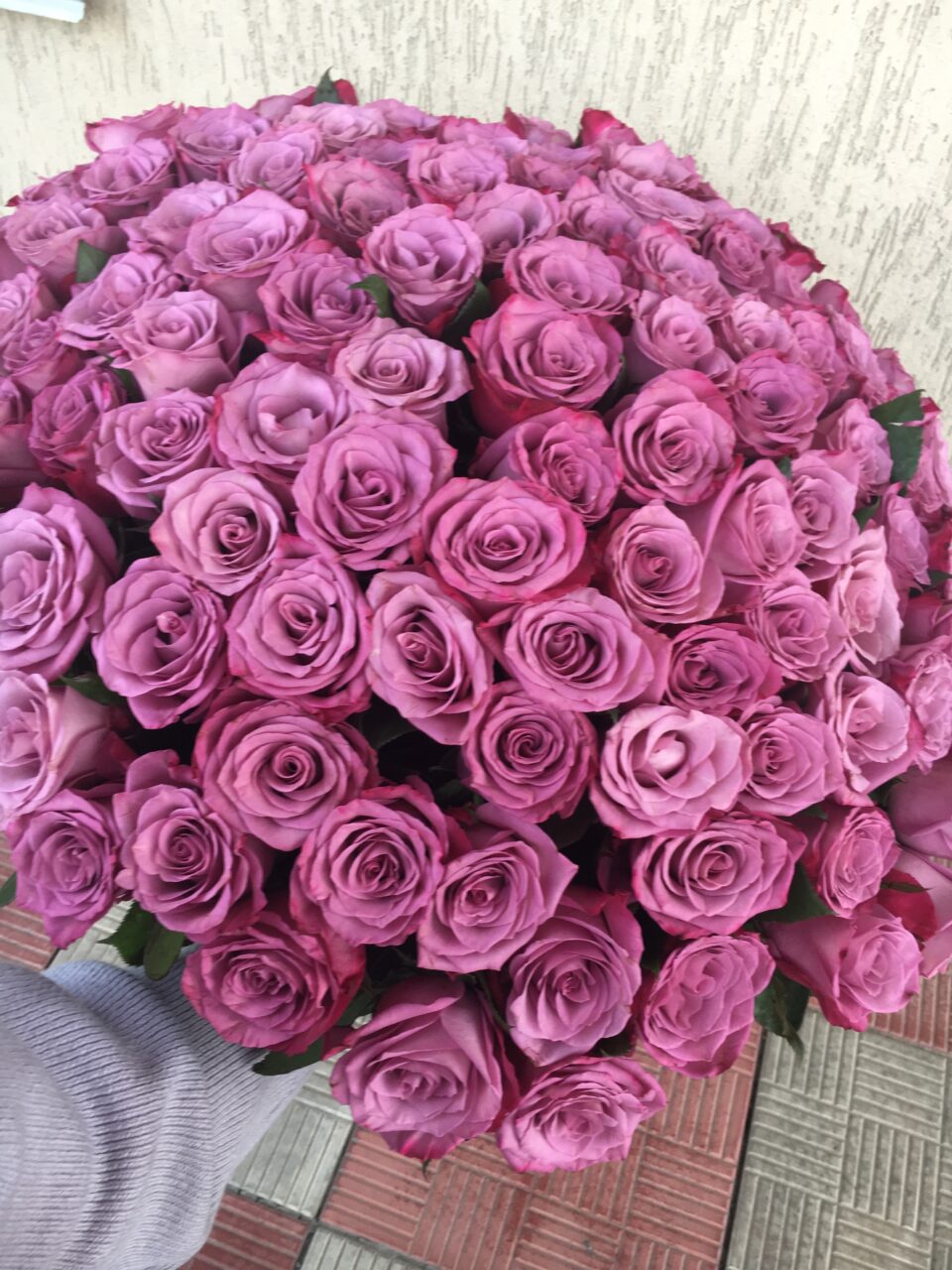 101 бузкова троянда