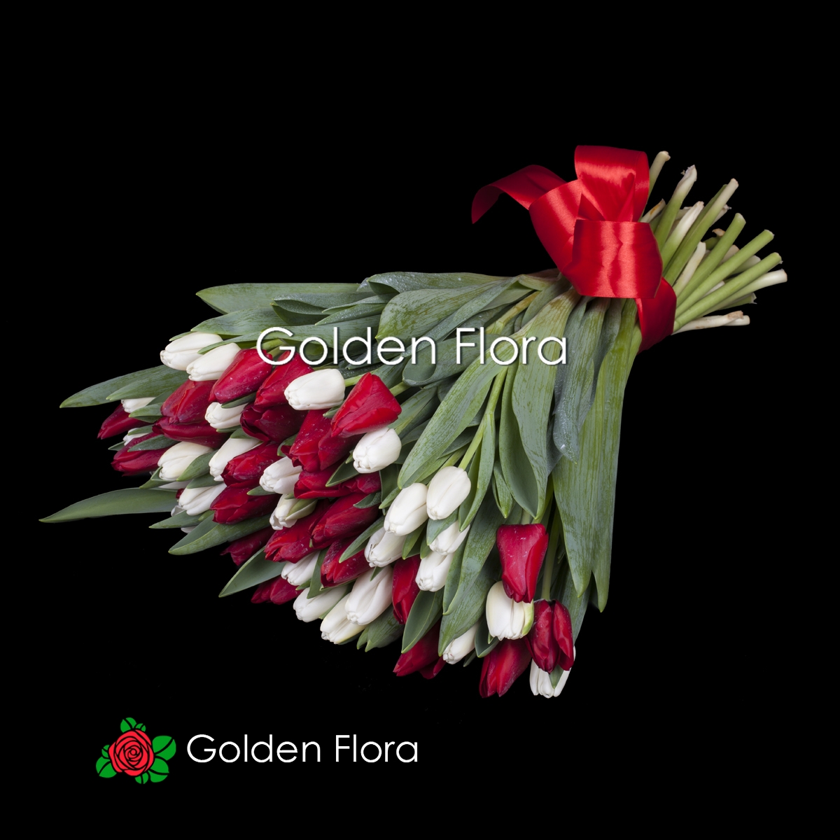51 тюльпан мікс: червоні і білі