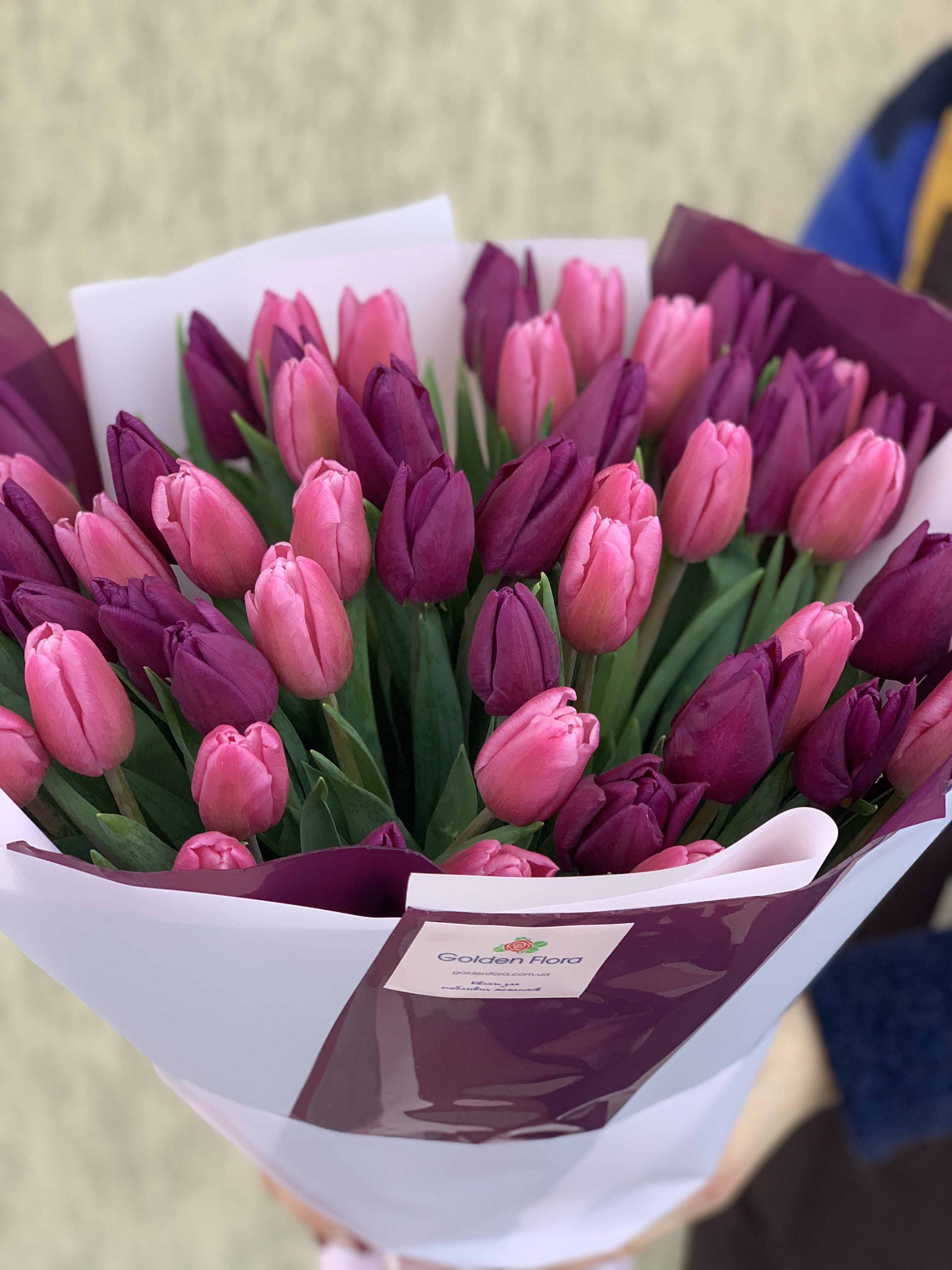 51 рожевий і фіолетовий тюльпан