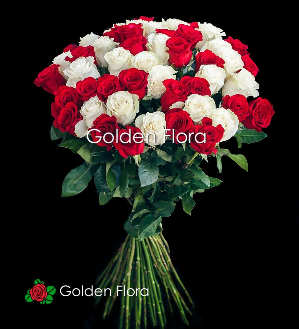 51 червона та біла Голандська троянда 51 червона та біла Голандська троянда