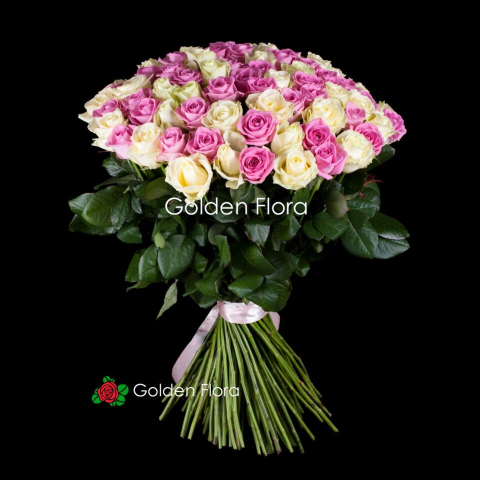 101 біла і рожева троянда, мікс 