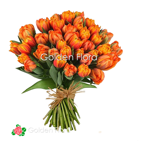 25 помаранчових піоновидних тюльпанів