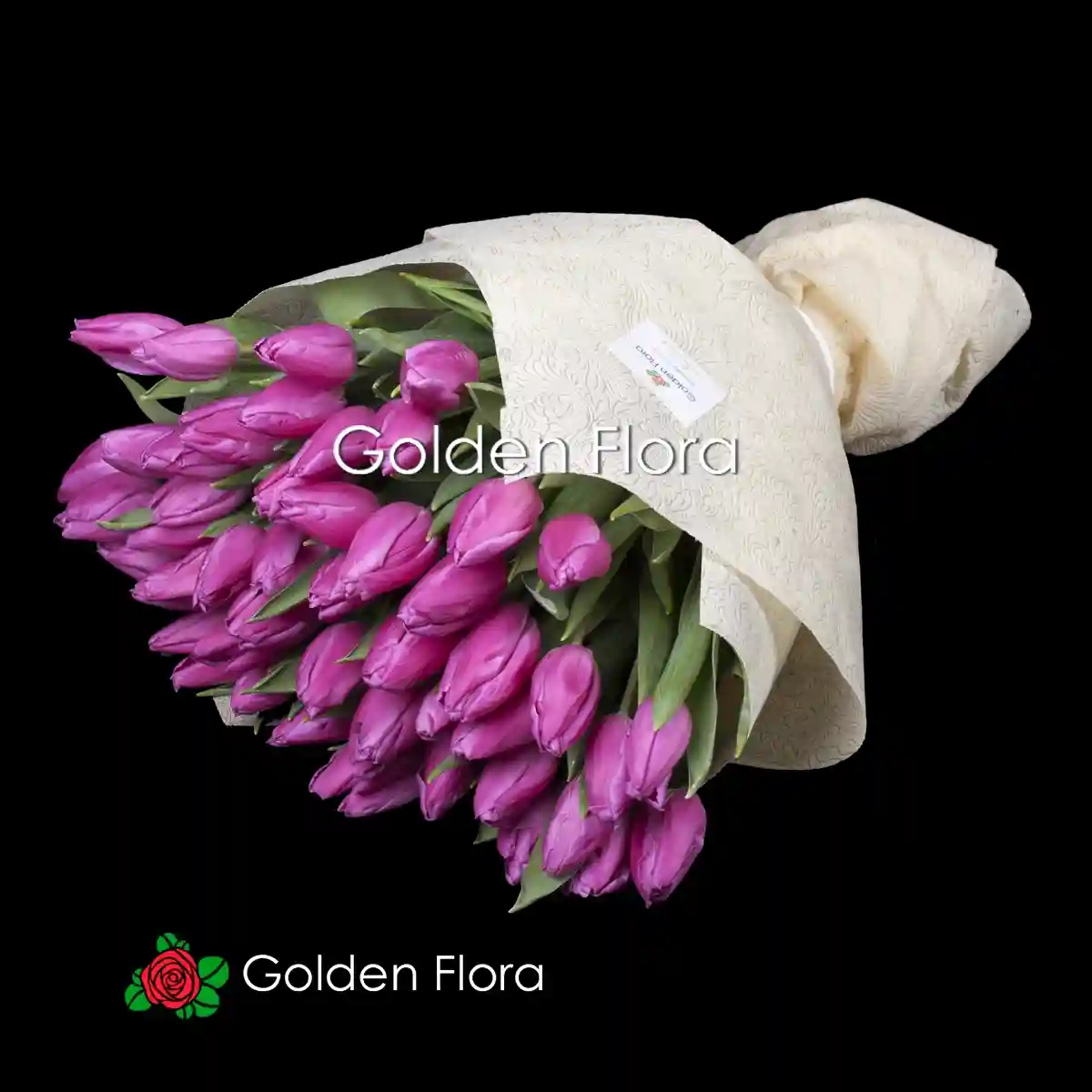 51 фіолетовий тюльпан